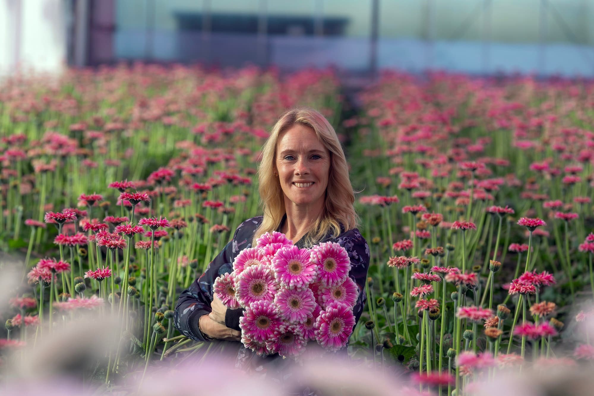 Vrouw met een boeket roze gerbera's in een kas vol bloemen, Plantion
